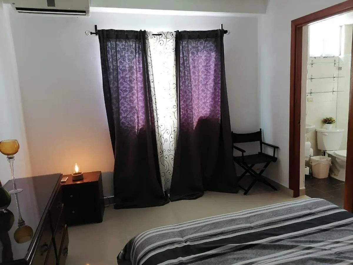 Apartament In Gazcue Icona Apartment